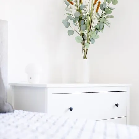 O Navegante - By Y Concept *